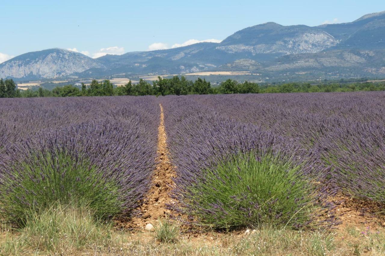 Le gite du grand cèdre - proche des gorges du Verdon Allemagne-en-Provence Esterno foto