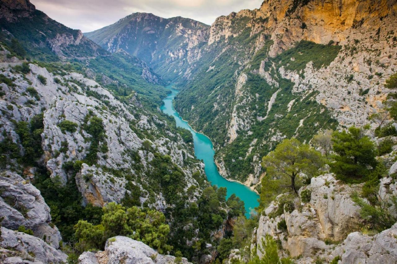 Le gite du grand cèdre - proche des gorges du Verdon Allemagne-en-Provence Esterno foto